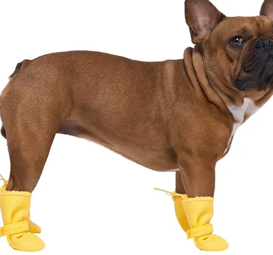 Canada Pooch Waterproof Boots - Dog Boots & Paw Protectors with Anti Slip Rubber | Easy On Waterproof Boots for Dogs with Velcro Strap, Great for Dogs
