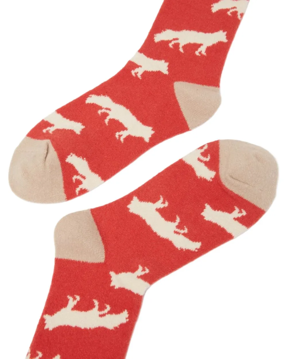 Joules Amble Icon Socks