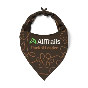 Pack Leader Dog Bandana